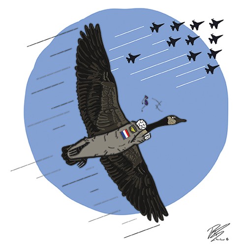 Gansen500 (500 x 500)